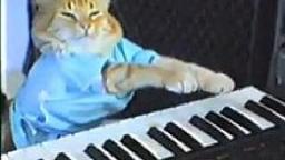 Charlie Schmidts Keyboard Cat!
