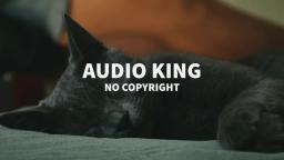Pietro Spagnoli - Barber of Seville (3d Remix) [Vlog No Copyright Music] AK Audio King