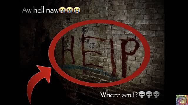 Pussy explores SCARY TUNNELS!!