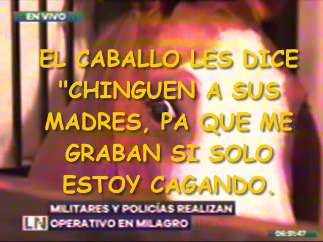 Allanamiento a Casa de una Banda y el Caballo que mira