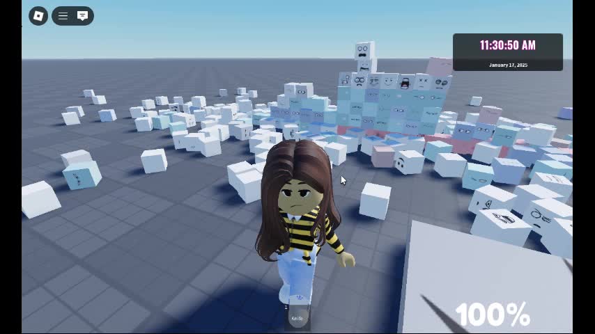 Roblox Test!