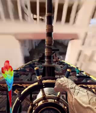 Bro - A flying pirate ☠️