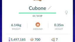 Pokémon GO-Shadow Cubone