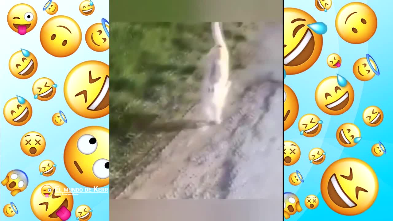 VIDEOS GRACIOSOS - PARTE 55