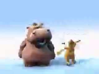 hipopote