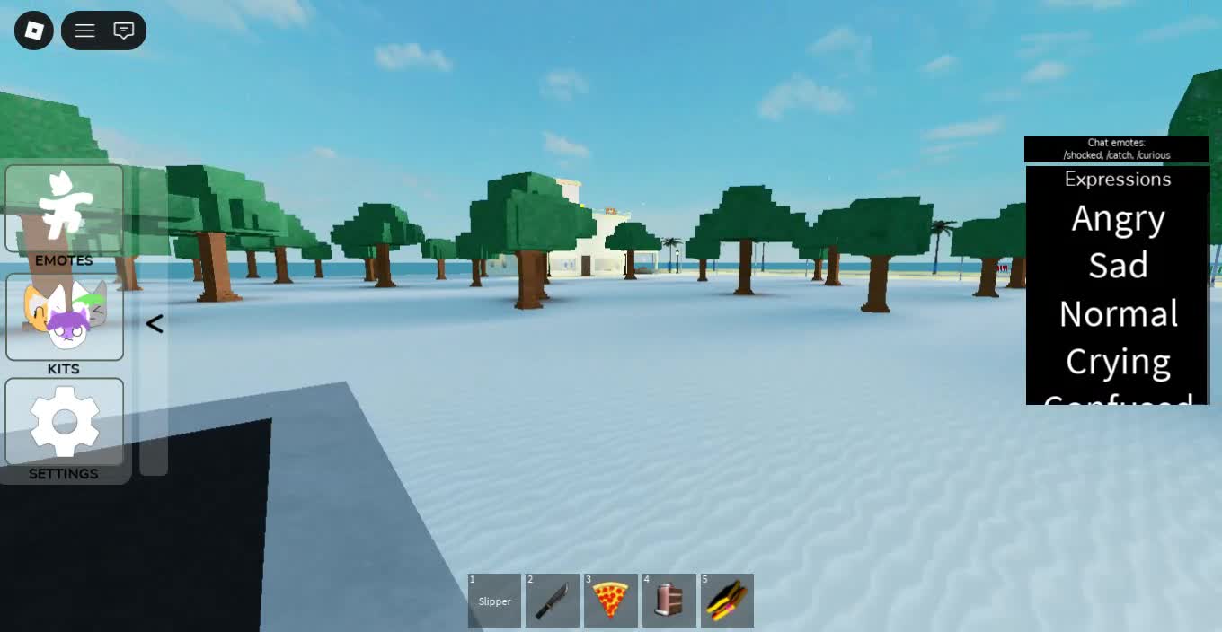 Roblox-2026-01-06T23_35_32.745Z