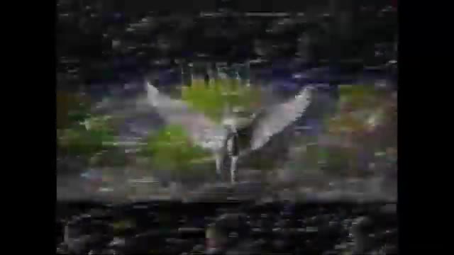 Opening to 1998 German VHS of In Gods Hands