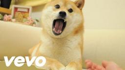 Official Doge Music Video ft. Pajidsui