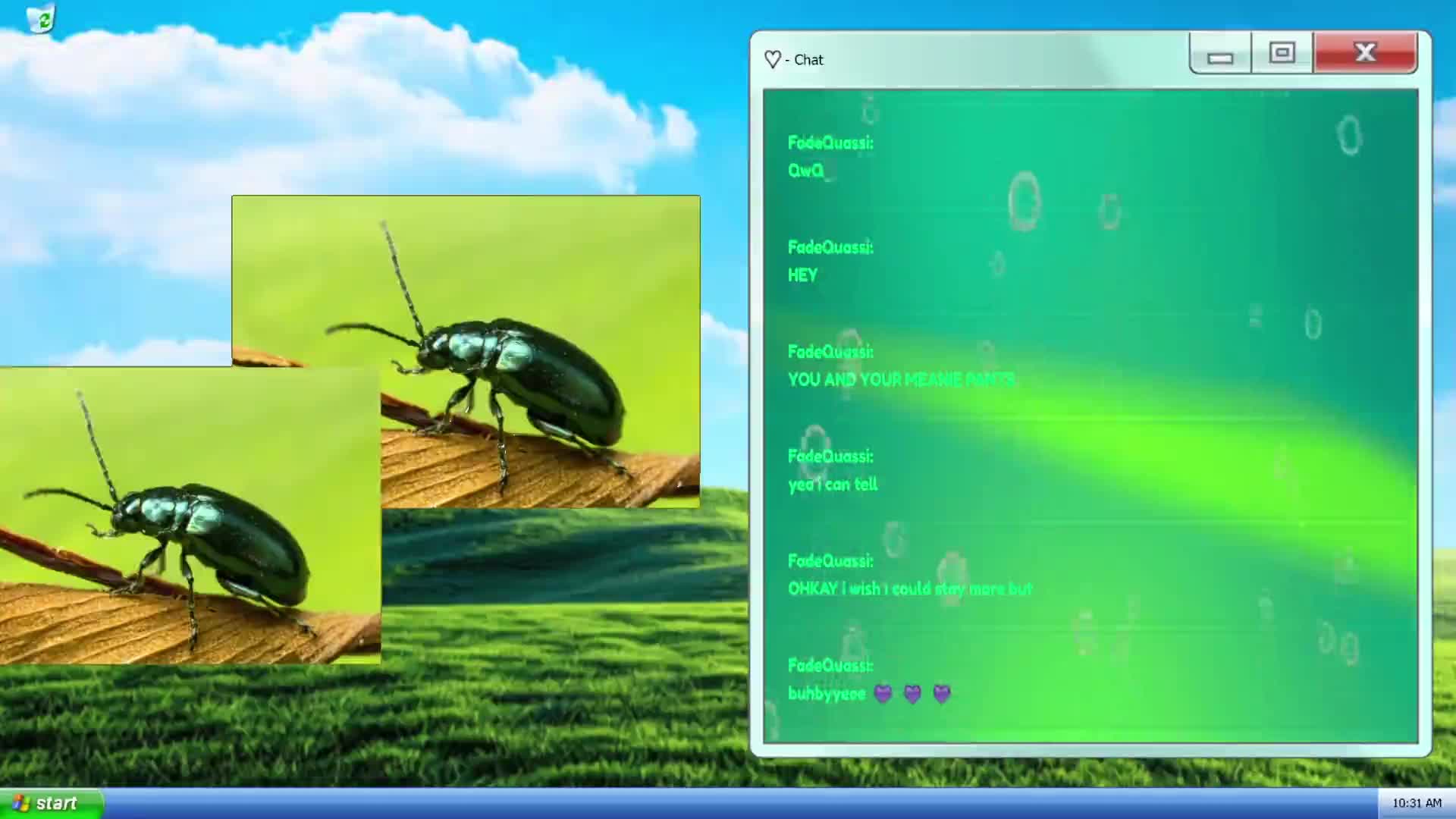 i turned into a beetle.