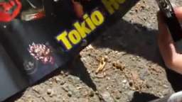 Watch Tokio Hotel burn....w00t