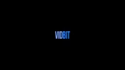 VidBit original series (AM)
