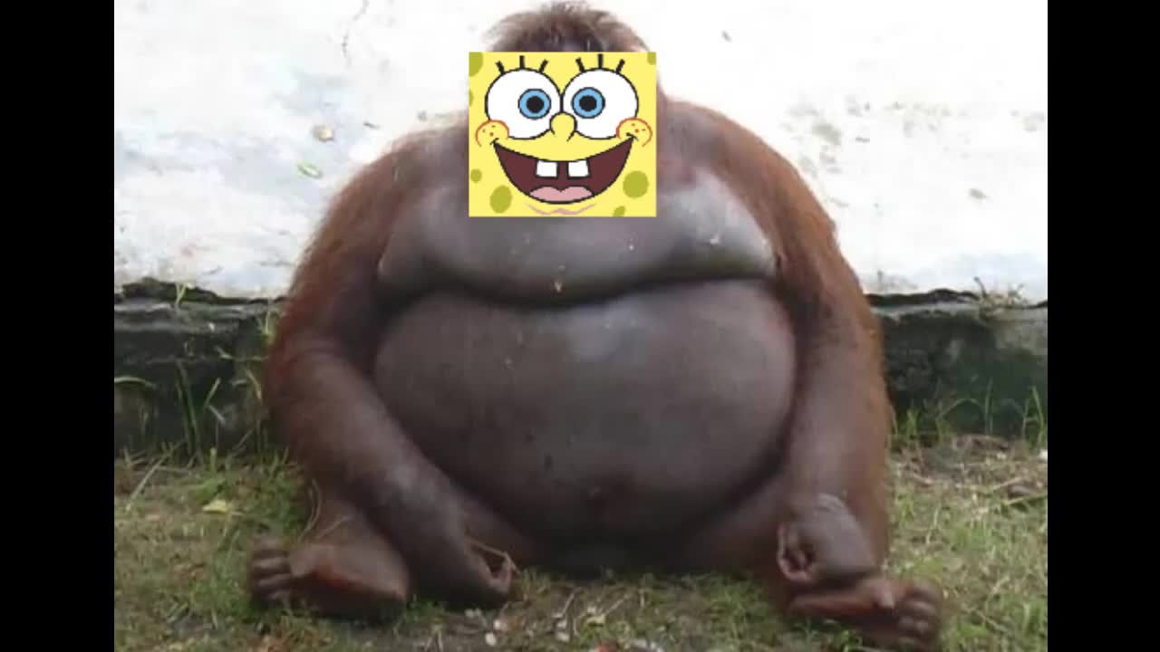 Uh Oh Stinky but it's SpongeBob SquarePants (READ DESC)