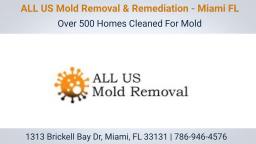 ALL US Mold Removal in Miami: Economical, Affordable and Effective