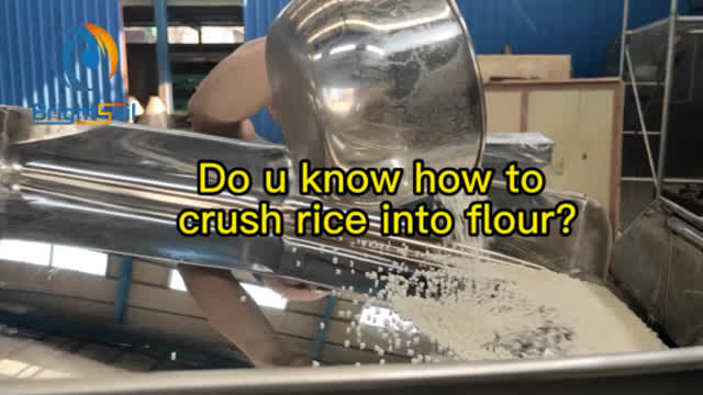 Do u know how to  crush rice into flour by rice hammer mill?#RiceGrinder