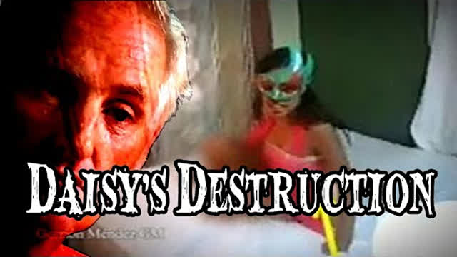 Daisys Destruction