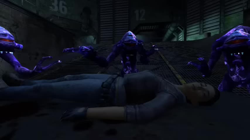 In The Virtual End (Linkin Park HL2 music video) (480p)_1753029009695