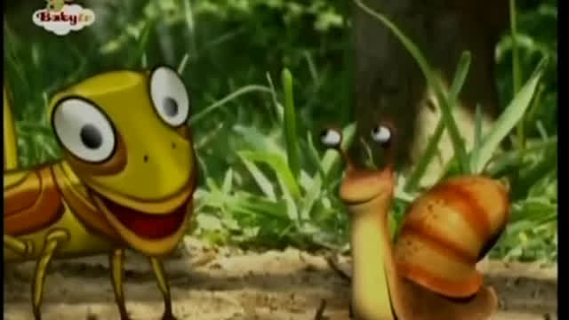 Mr. Snail - Grasshopper Mr. Snail - Grasshopper
