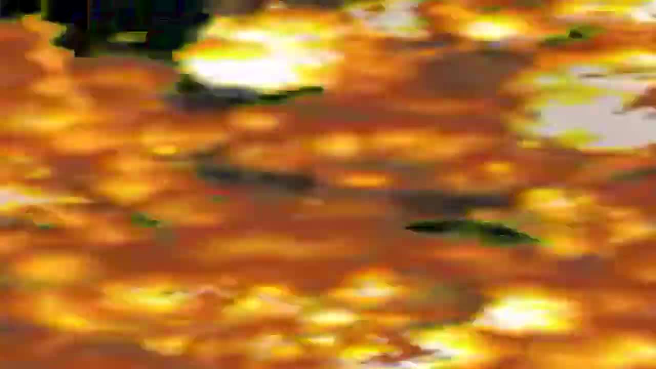 HEXAPONG ROUND 11 FINALMENTE ESSA PORRA