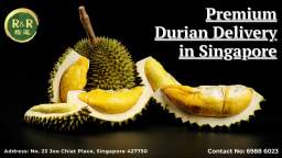 Singapore Premium Durian Delivery - R&R Durian