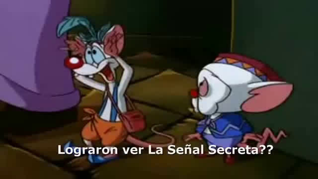 CS - Pinky y Cerebro. Ellos