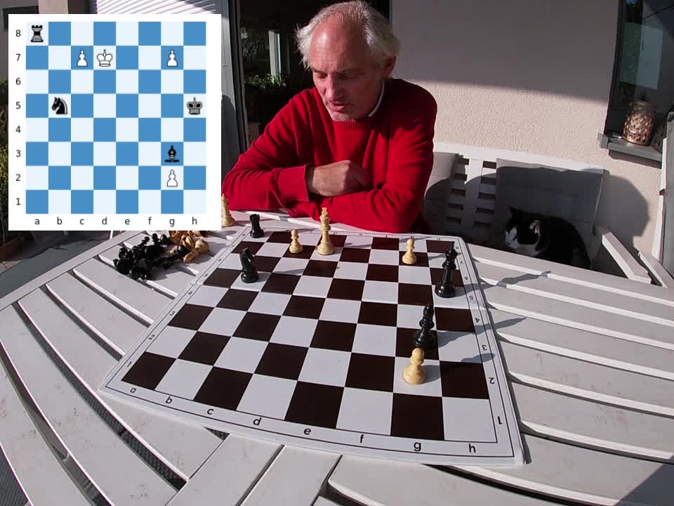 One of my best study