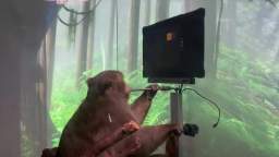 Elon Musks company Neuralink taught a monkey to play video games.