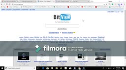 Bitview Intro