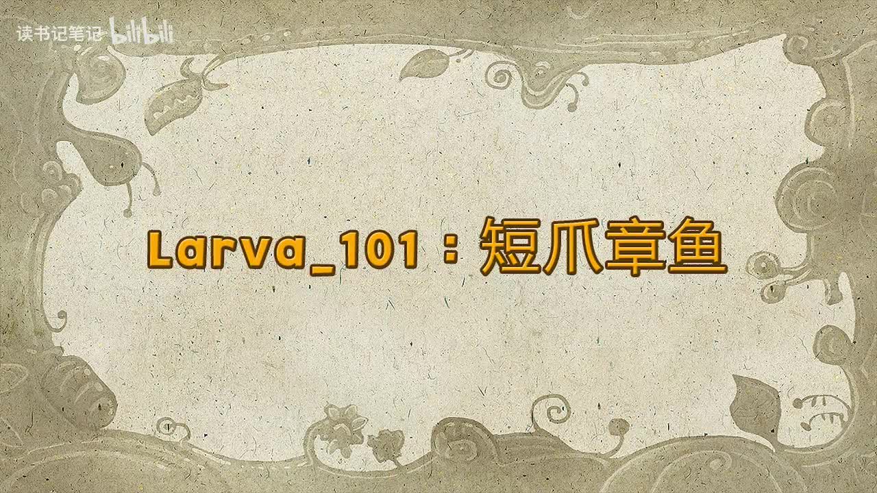 Larva S01 - 101 Short Arm Octopus