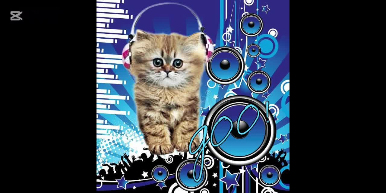 Cool profile pictures!