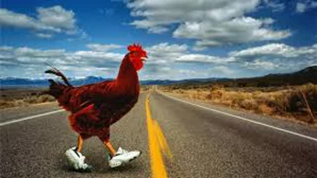 porque el pollo cruzo la carretera? (de CidZorro68)