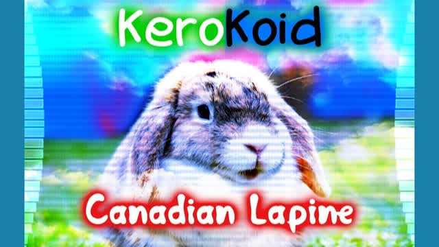 Kerokoid - Canadian Lapine Kerokoid - Canadian Lapine