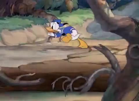 Donald Duck in Donald's Vacation 1940
