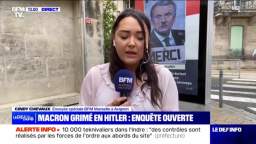 Posters with Macron in the form of Hitler hung in France