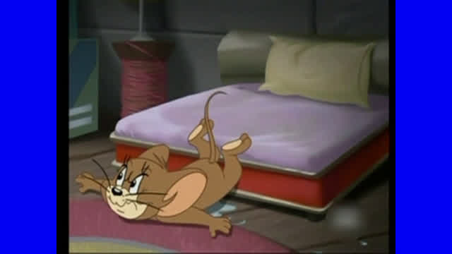 Las aventuras de Tom y Jerry - La reunión de los pingüinos / Episodio Completo (Español Latino)