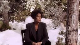 Whitney Houston - I Will Always Love You