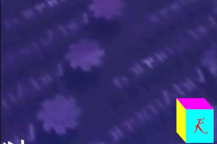 I Accidentally Vidamerica