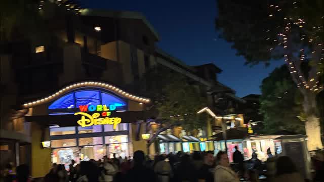 World of Disney 3/15/2025
