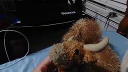 Mr. Horns watches Sesame Street