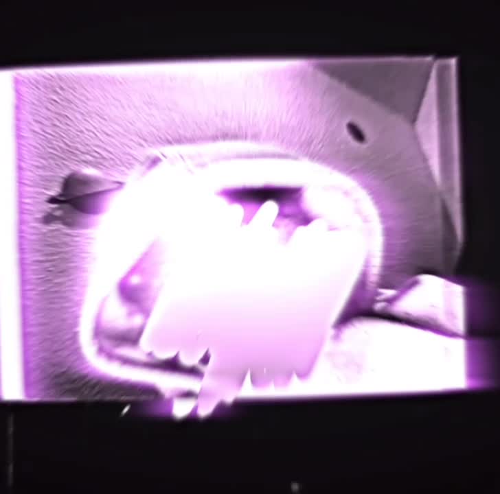 copy_6C52E0F7-14FC-445C-BD2B-FB409B05EE9E