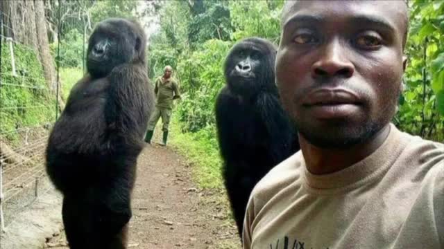 Muhammad Found His Brothas