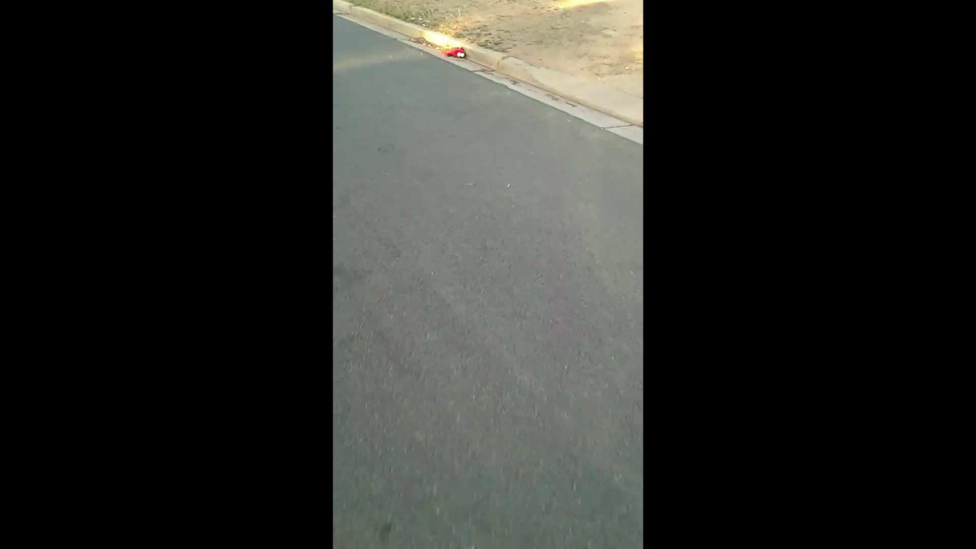 The Death of Elmo (And The End of the World