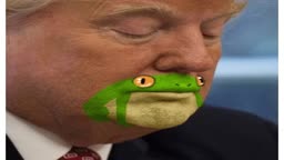 Racist Donald Trump