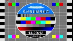 vlc-record-2021-01-28-06h20m57s- KoreaPN KCTV