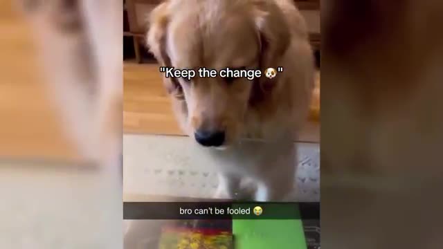 if you laugh, you restart meme if you laugh, you restart meme