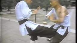 Shaolin do a swastika and then kick each other in the balls