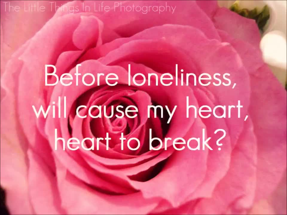 You Can't Hurry Love - Phil Collins (Lyrics)