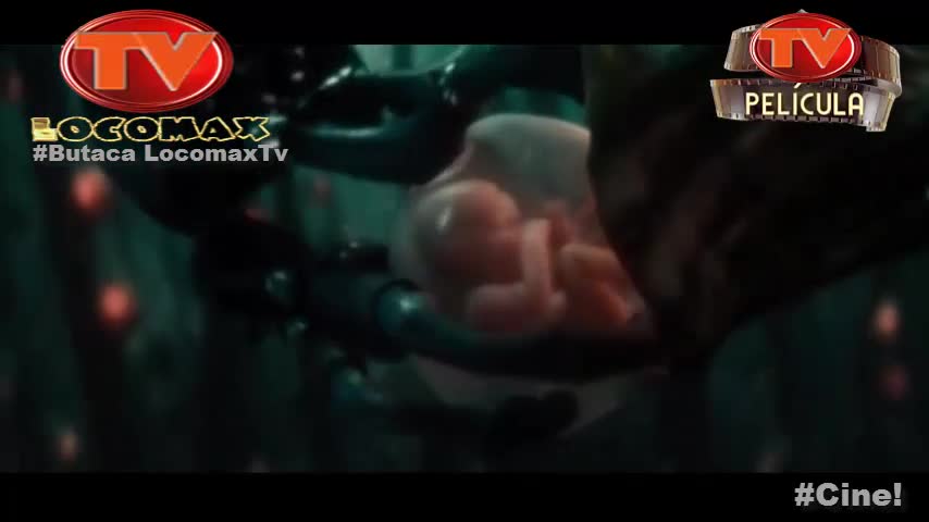LocomaxTv Bolivia Anime Agosto 2026