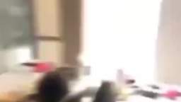 peter griffin hate niggers song peter griffin hate niggers song
