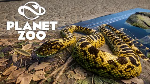 Criando um zoo NO PLANET ZOO !!  #01