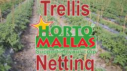 Hortomallas. Supporting your Crop